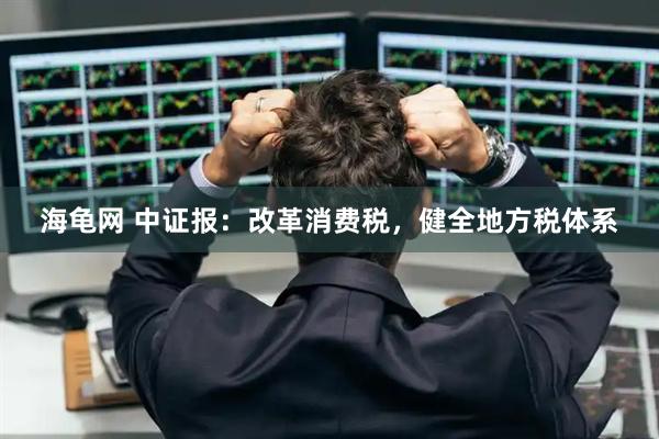 海龟网 中证报：改革消费税，健全地方税体系