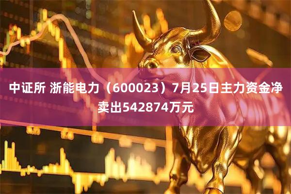 中证所 浙能电力（600023）7月25日主力资金净卖出542874万元