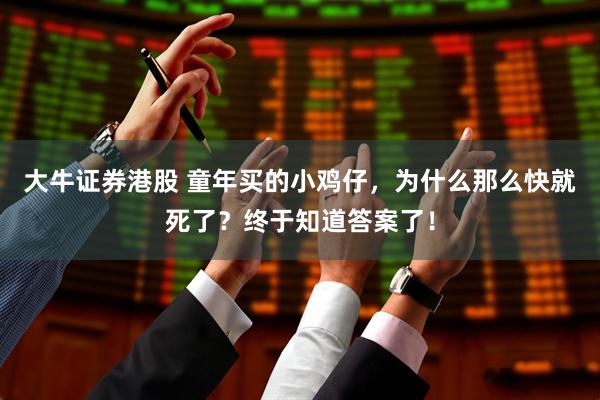 大牛证券港股 童年买的小鸡仔，为什么那么快就死了？终于知道答案了！